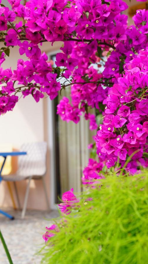 Yelken Bungalov Bed and Breakfast Milas Exterior foto